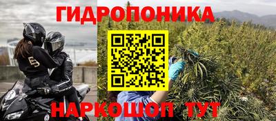 индика Кунгур