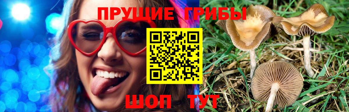 Кимовск  где можно купить   Вход с VPN  Псилоцибиновые грибы ЛСД 